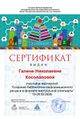 Сертификат МК газета косолапова.jpg