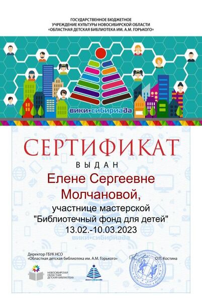 Файл:Сертификат фонды Молчанова.jpg