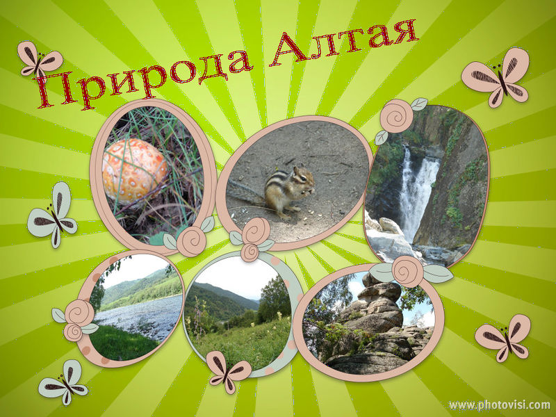 Файл:Altai priroda.jpg