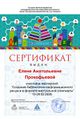 Сертификат МК газета прокофьева.jpg