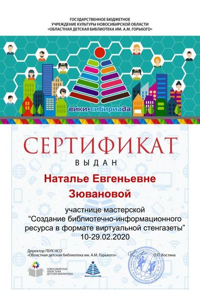 Файл:Сертификат МК газета зюванова.jpg