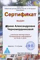 Сертификат Мастерская литинфографика черномордникова.jpg