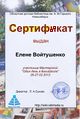 Сертификат Мастерская викишкола войтушенко.jpg