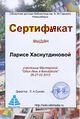 Сертификат Мастерская викишкола хаснутдинова.jpg
