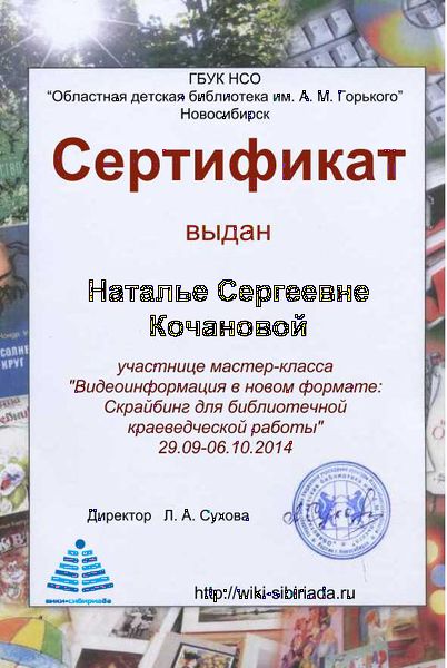 Файл:Сертификат Мастерская видеоинформация кочанова.jpg