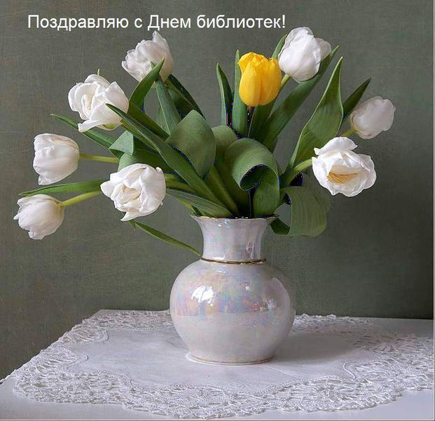 Файл:Белые розы.jpg
