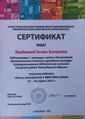 Сертификат участнику вебинара Запись пользователя в АБИС- ОРАС-Global.jpeg