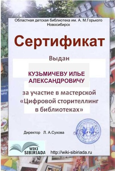 Файл:Сертификат Кузьмичев Илья Александрович.jpg