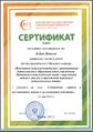 Сертификат МГГУ.jpg