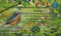 Богородск Центральная детская Акция о птицах.png
