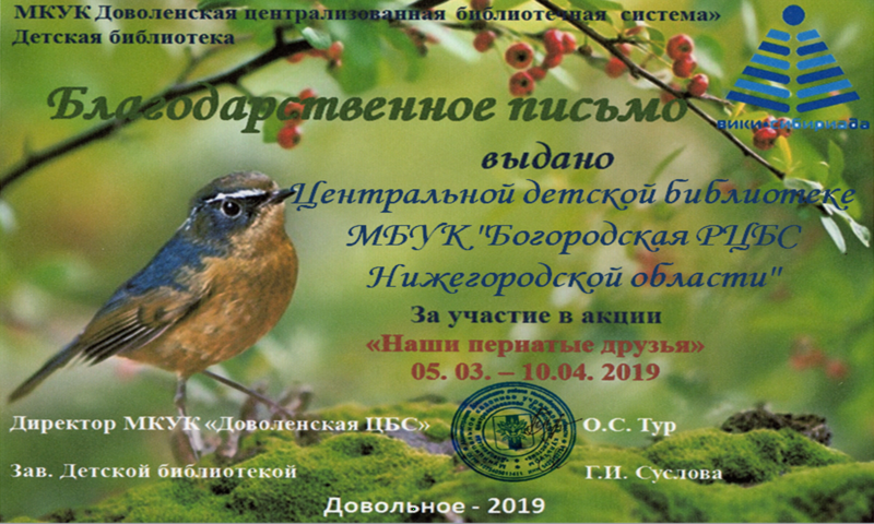 Файл:Богородск Центральная детская Акция о птицах.png