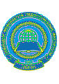 Логотип ПМПИ синий.jpg
