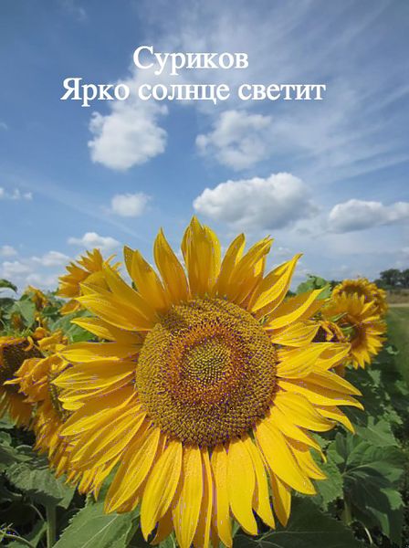 Файл:И.Суриков Ярко солнце светит.jpg