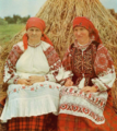 Belarus eastern palesye.png